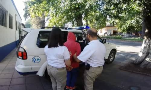 Detienen a menor que estaría involucrado en incendio forestal en O’Higgins