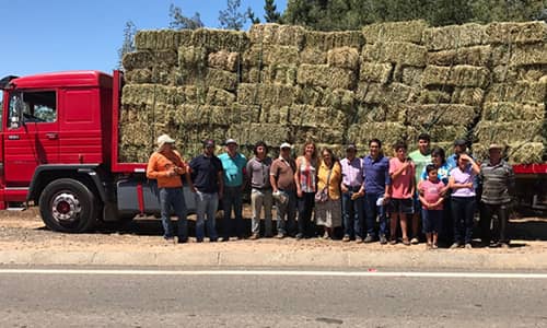  Molina entrega mil fardos a agricultores de la costa afectados por incendio