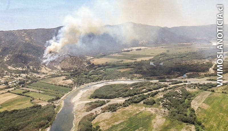 [FOTOS] Nuevo incendio forestal amenaza viviendas en Hualañé