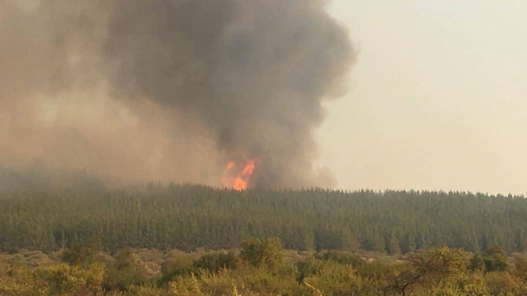 Alerta temprana preventiva por incendios forestales en el Maule
