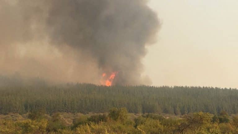Alerta temprana preventiva por incendios forestales en el Maule