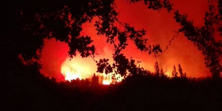 Incendio forestal fuera de control en Parral