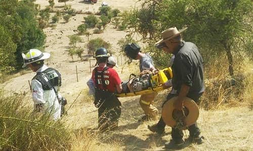 Hombre cayó a quebrada con sus caballares en Teno
