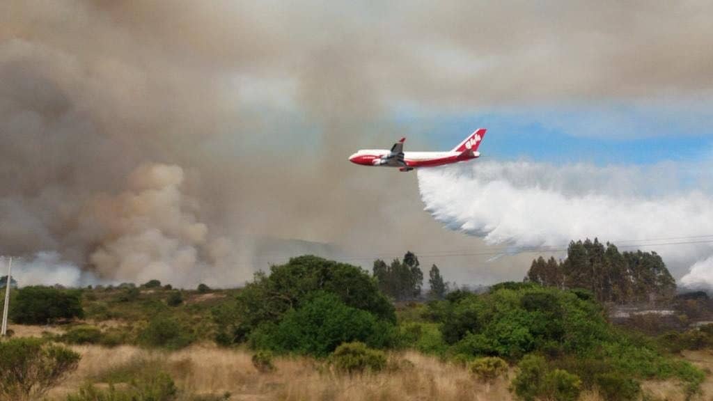 Madereros piden eliminar o flexibilizar exigencia de reforestación