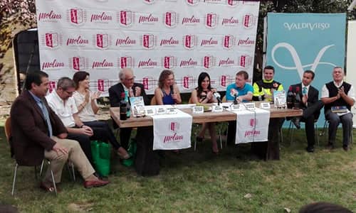 Conoce los artistas del XLII Festival de la Vendimia de Molina