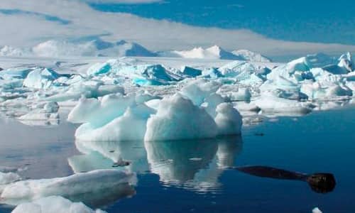 Científicos chilenos aseguran que la Antártida es un regulador del clima