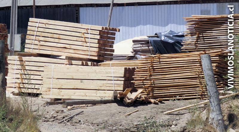 Corporación de Desarrollo Productivo asesora industria secundaria forestal