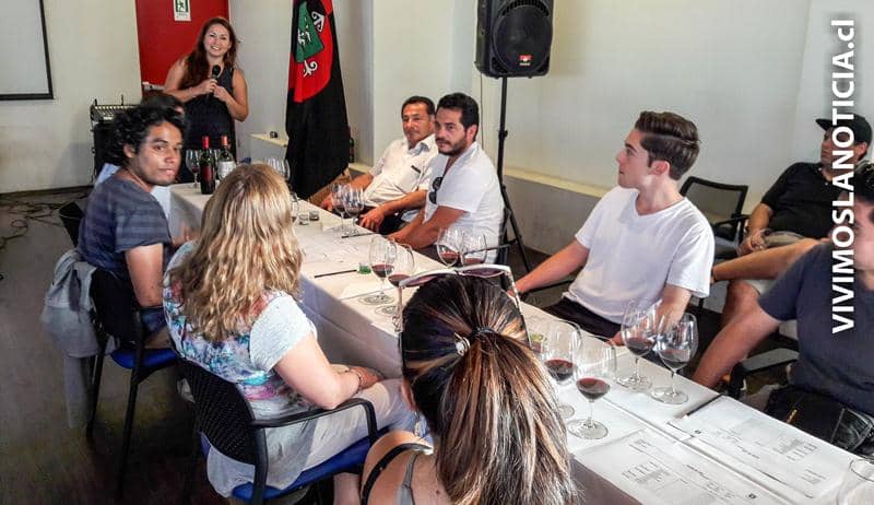 Universidad de Talca ofreció cursos de cata de vinos
