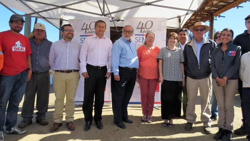 Concluye plazo de postulación a subsidio laboral forestal