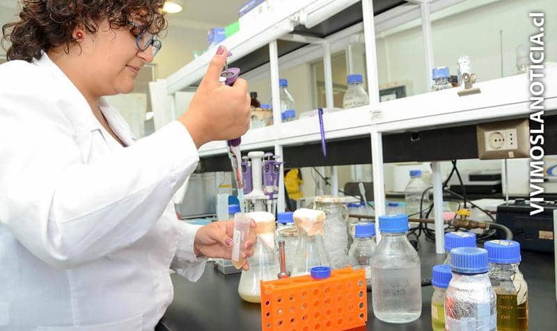 UTALCA cuenta con 16 nuevos proyectos Fondecyt Regular
