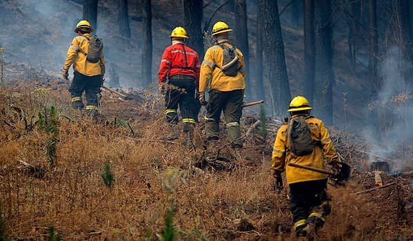 Brigadistas forestales son detenidos como presuntos autores de los incendios que afectaron a Molina en 2020