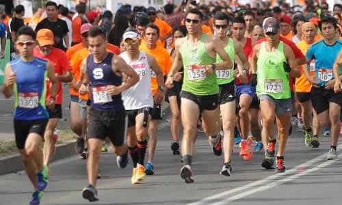 Entregan consejos a quienes viajan de regiones a Maratón de Santiago
