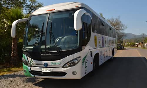 Alumnos de colegios municipales siguen con buses de acercamiento