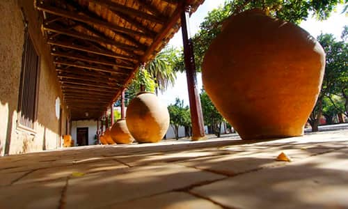 Talca será anfitriona de trabajo de Museos Universitarios