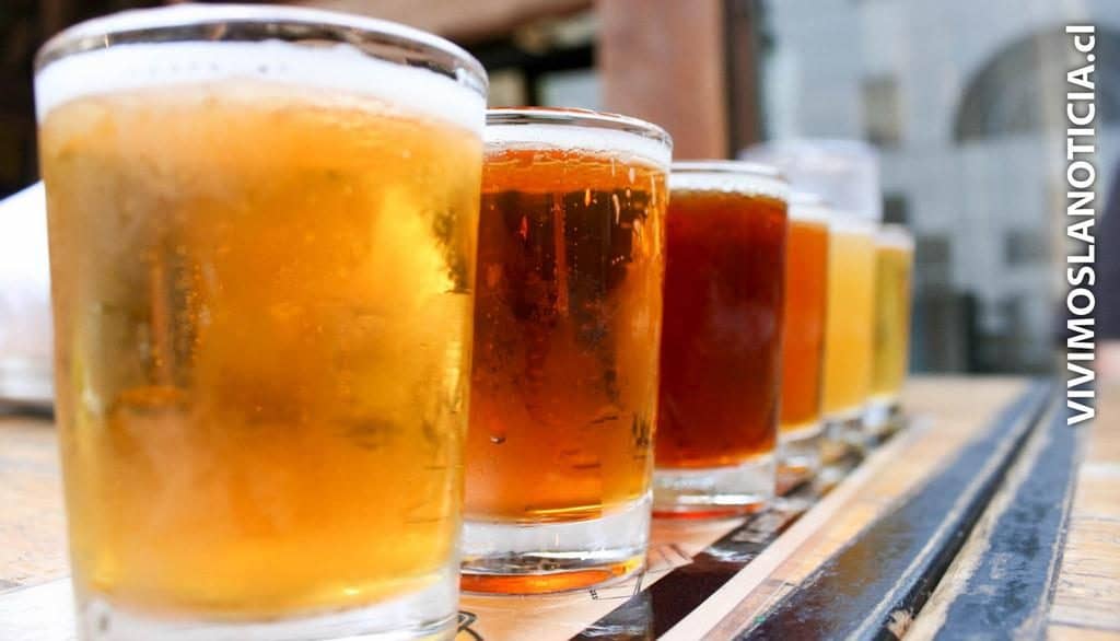 Alcalde de Curicó y productores locales dan el vamos a la Feria de la Cerveza