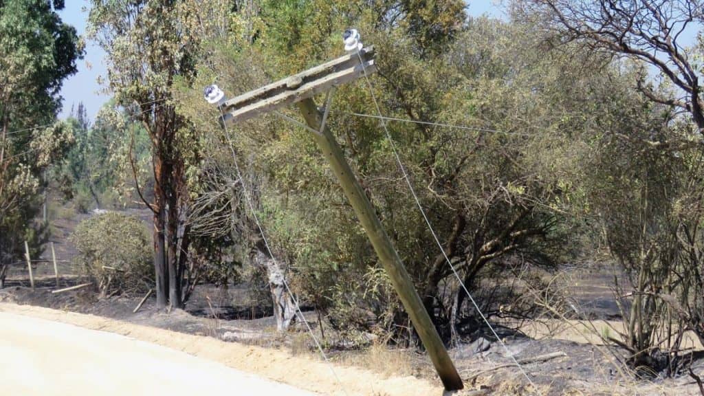 CGE levanta fuerte defensa por formalización de ejecutivos