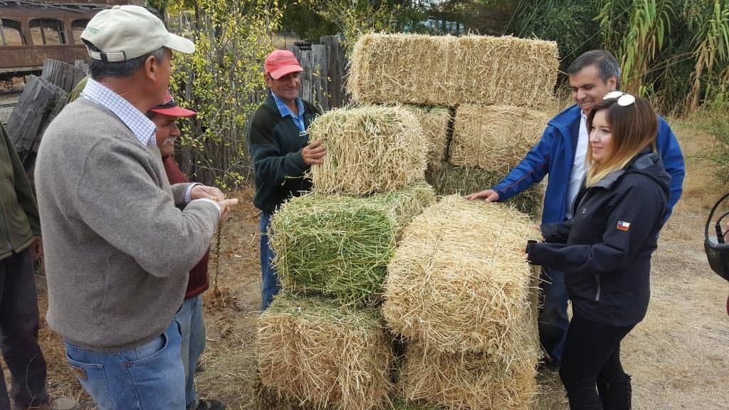 Desafío y Tren Central repartieron víveres y forraje en las zonas devastadas