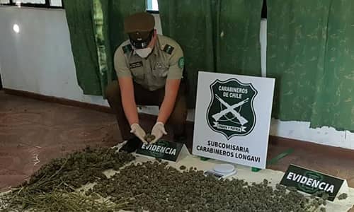 Tres detenidos por porte de marihuana en Longaví