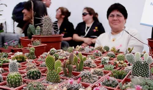 Buscan a 5 emprendedoras chilenas para internacionalizar sus innovaciones