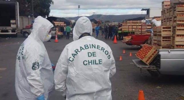 Encuentran muerto a hombre en macroferia de Talca
