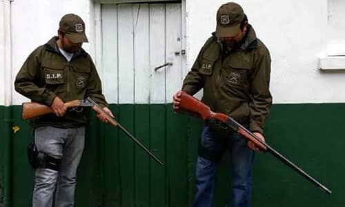 Carabineros y el SAG realizan operativo en la precordillera