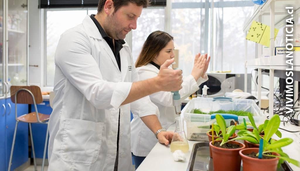 Científicos crean súper vegetales con bacterias de la Antártica