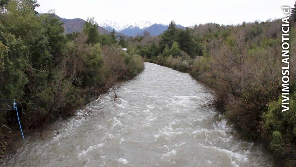 Canales de regadío en pre cordillera de Linares crecieron súbitamente