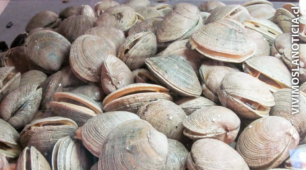 Especial respaldo brindan a la acuicultura de pequeña escala