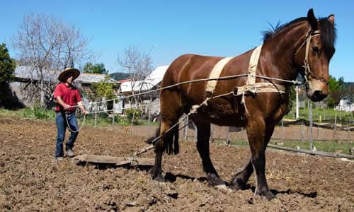 UCM realizará seminario sobre los 50 años de la Reforma Agraria