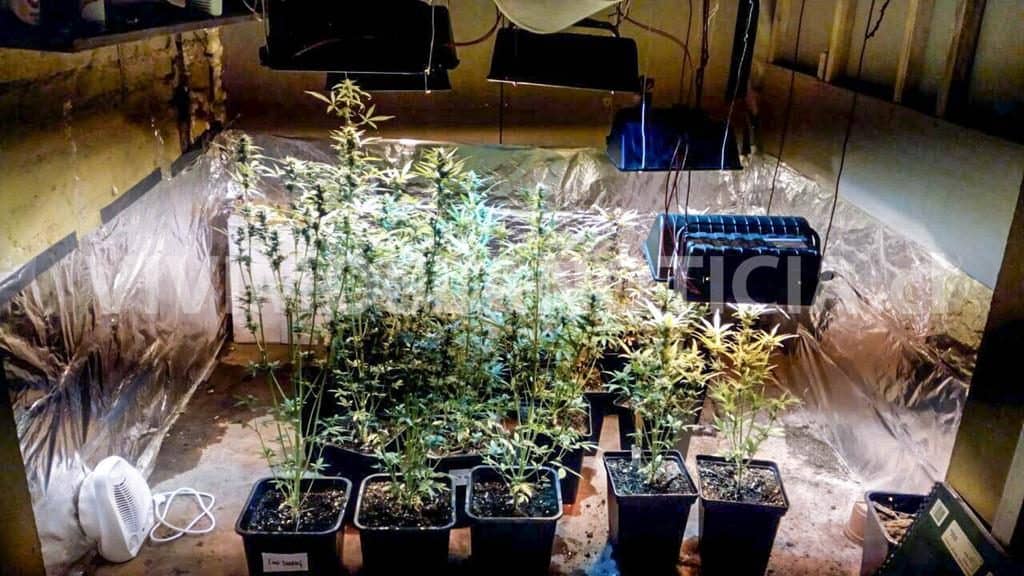 OS-7 asestó duro golpe al tráfico de cocaína en Licantén