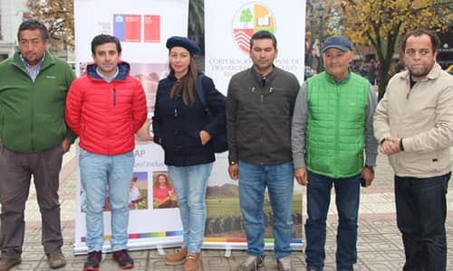 Viñateros del Maule realizaron gira de innovación a Francia