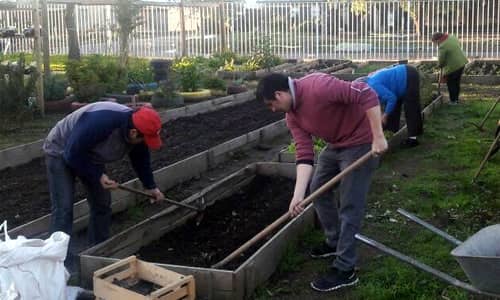 Este fin de semana: ecoferia en sector surponiente de Curicó