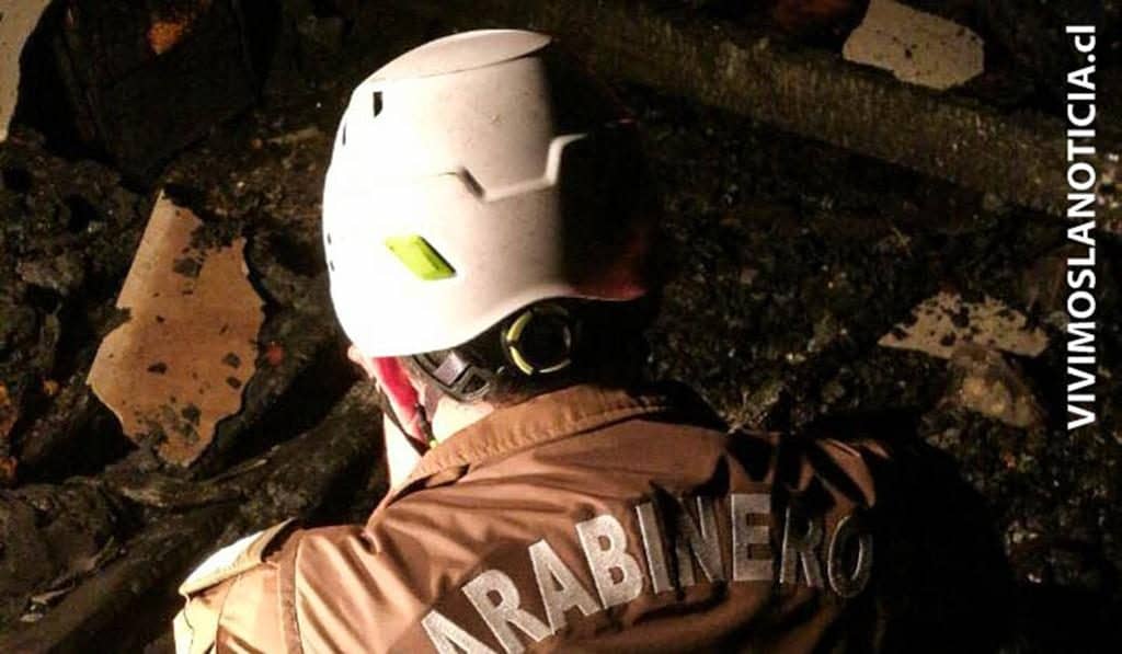 Investigan incendio que destruyó plantación de avellanos en Chequenlemu