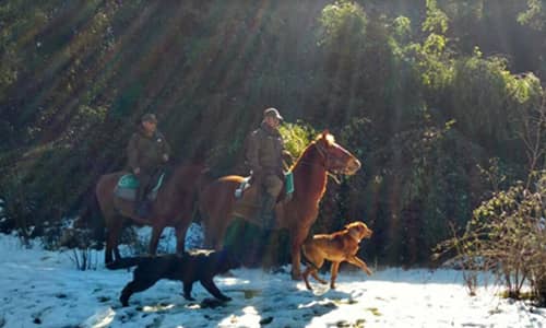 Carabineros del Retén “Agua Fría” realizó patrullaje montado por precordillera de Molina
