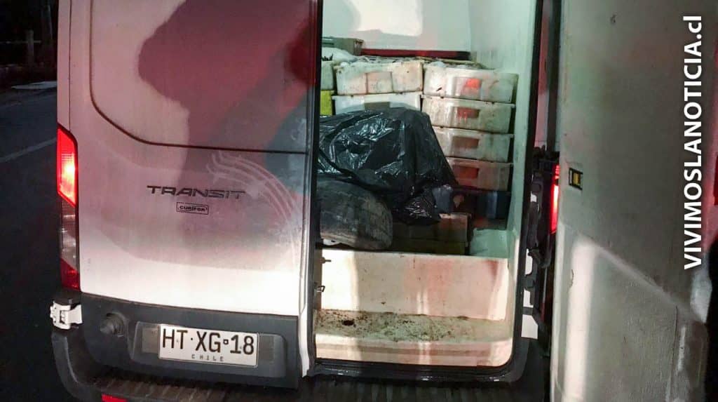 Incautan más de siete toneladas de merluza común destino al norte