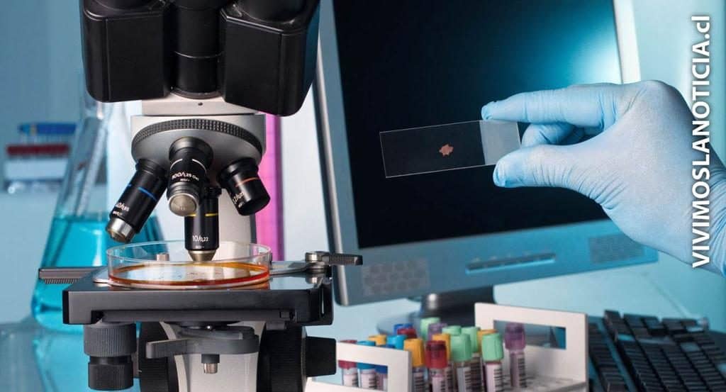 Quality Lab registró un alto rendimiento en detección de virus en ronda internacional