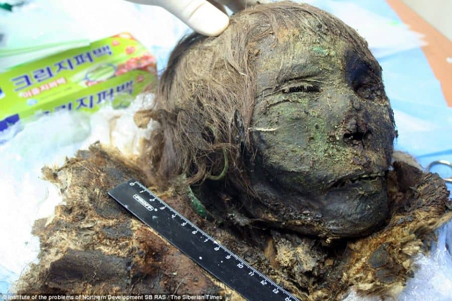 [FOTOS] Hallan momia de 900 años con cabello y pestañas intactos