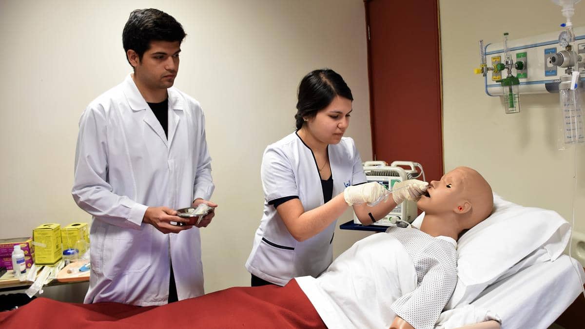 UTalca ofrecerá seis nuevas carreras a partir de 2018