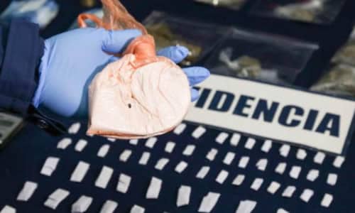 PDI Curicó detuvo a siete personas por tráfico de drogas