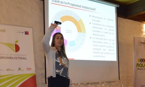 Gran interés de agroindustriales en Taller de Propiedad Industrial