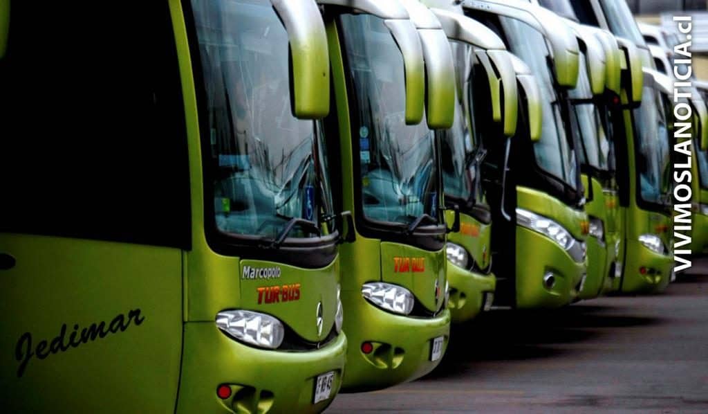 Confirman muerte por enfermedad meningocócica de pasajera de Turbus
