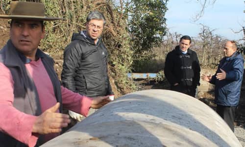 Comenzó reconstrucción de camino a Cerro los Cristales en Zapallar