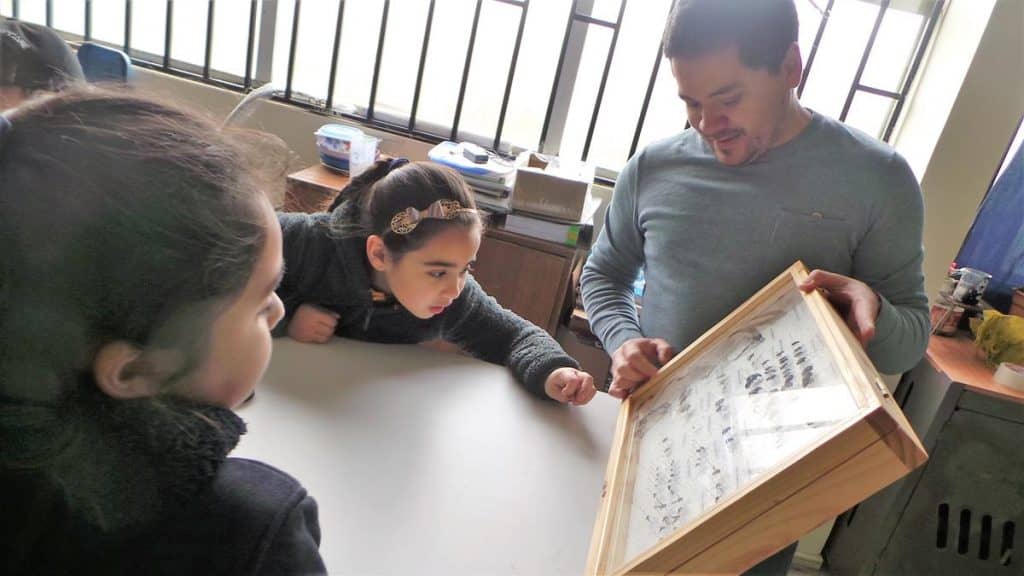 Escolares forman clubes de entomología y se preparan para participar del Congreso Regional