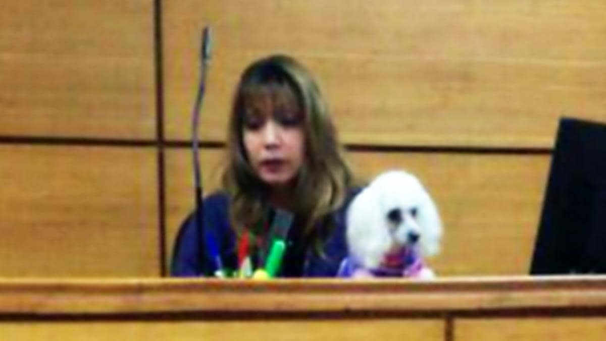 Magistrado dirige audiencia con su mascota en brazos