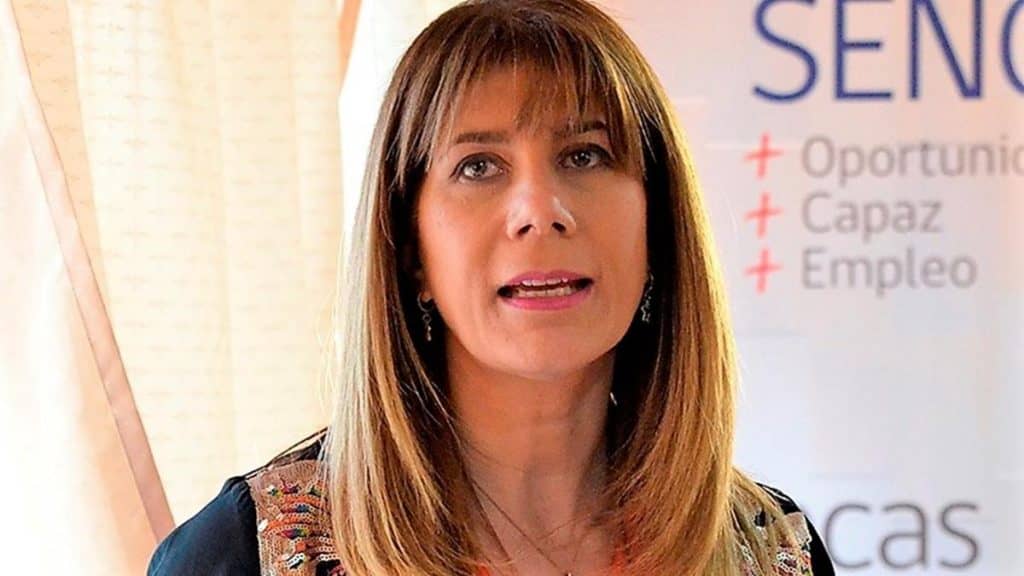 Ximena Rincón: “estamos en alerta por central eléctrica en precordillera de Molina”
