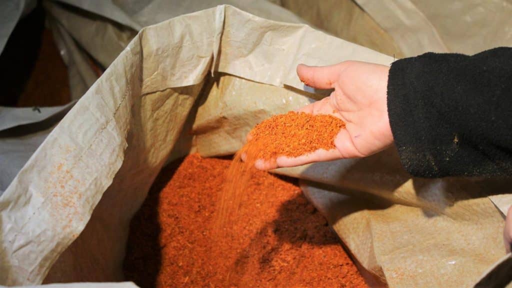 Decomisaron micotoxina cancerígena en producciones de merkén
