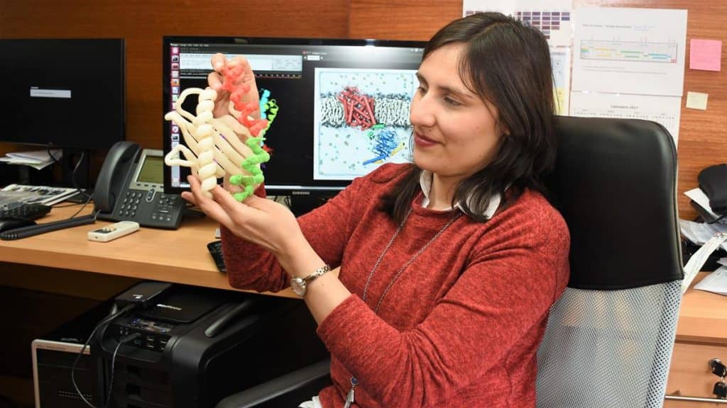 Investigación aporta a la lucha contra enfermedades neuronales y endocrinas
