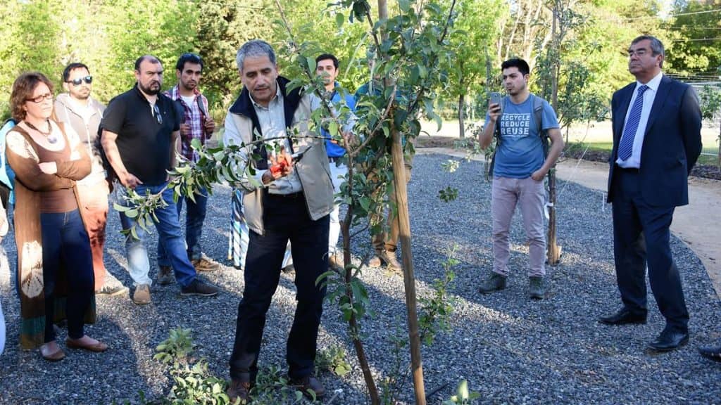 Jardín Frutal Docente complementará la formación en el área de las Ciencias Agrarias