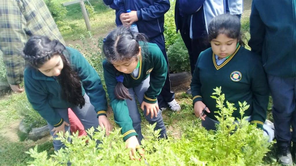 Estudiantes aprenden a cuidar el medioambiente