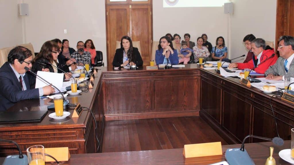 Aprueban subvención para apoyar emprendimiento de 25 mujeres curicanas